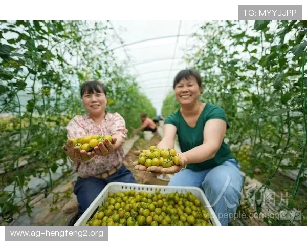 稳定的ag捕鱼王2下载网址入口，官方授权确保安全无风险